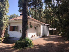 Floral garden house